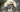 Unlock-the-Power-of-Moped-Style-Ebikes-with-MEELOD MEELOD