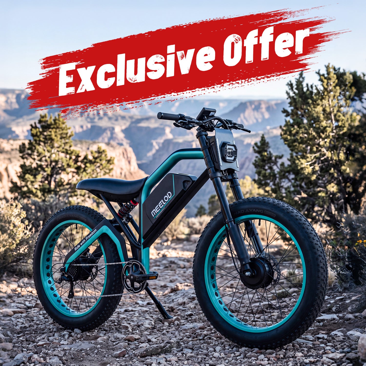 XT600DL Fat Tire E-Bike