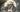 Unlock-the-Power-of-Moped-Style-Ebikes-with-MEELOD MEELOD