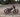 Fat tire e-bike parked on a city street for commuting