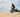 Fat tire ebike on off-road trail