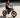 Your Brain on E-Bikes: The Neuroscience of Two-Wheeled Freedom