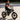 Your Brain on E-Bikes: The Neuroscience of Two-Wheeled Freedom