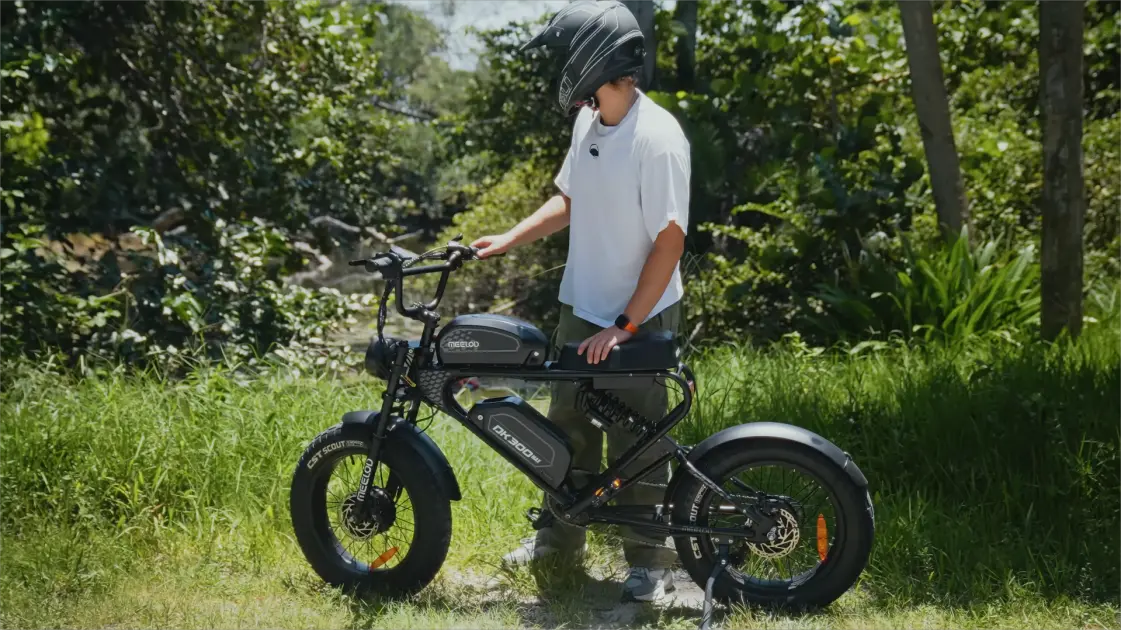 dual battery setup on electric bike frame