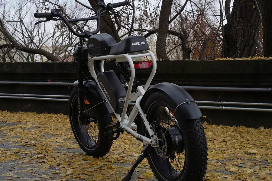 Should Seniors Ride E-Bikes? - MEELOD
