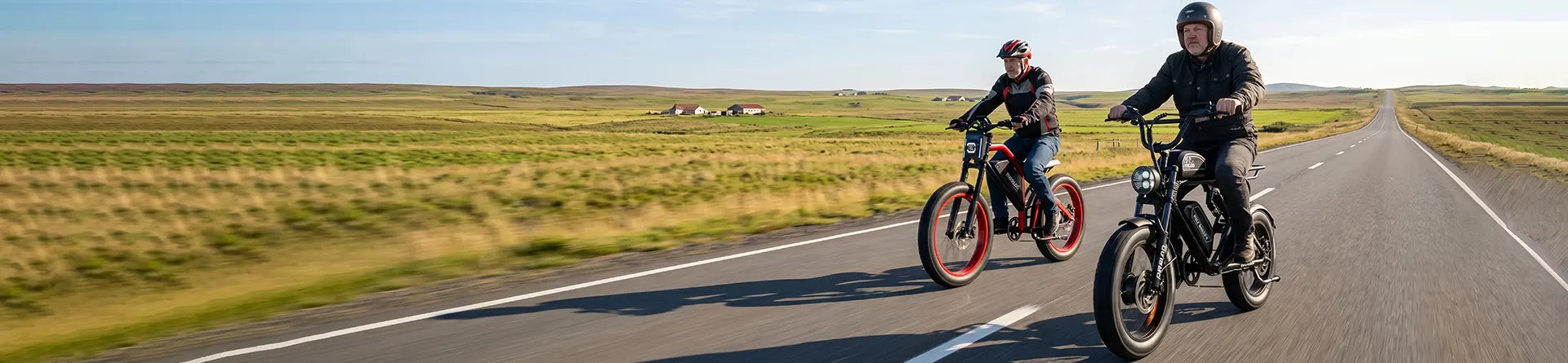 Dual Motor Ebikes