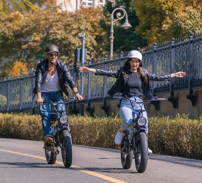 MEELOD DK200SE | The best entry-level moped style ebike MEELOD