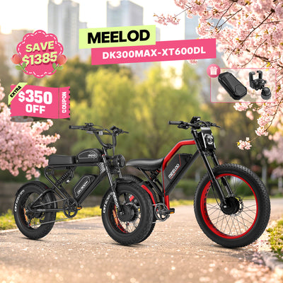 XT600DL + DK300MAX