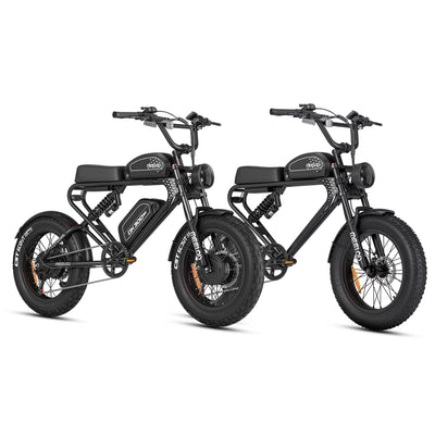 DK300MAX + DK300PLUS