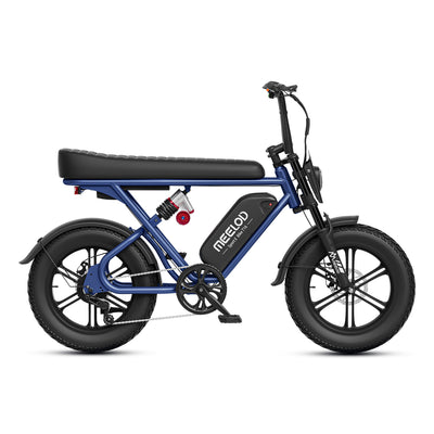 Blue Meelod electric bike T16