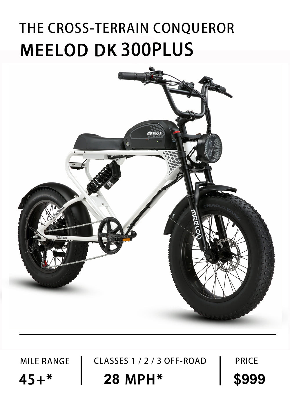 Meelod DK300 PRO Electric Motorbike Dual Suspensions 1200W 48V30AH