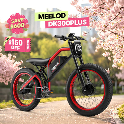 XT600DL