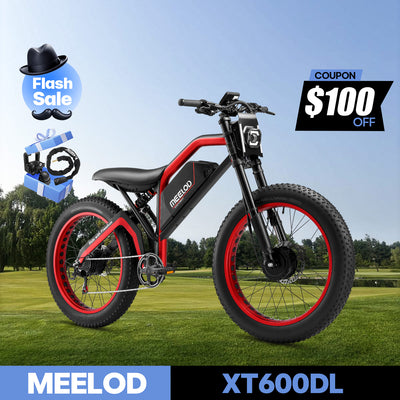 XT600DL