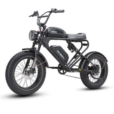 MEELOD Black moped style ebike DK300PRO
