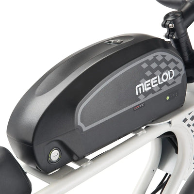 MEELOD DK300PLUS Battery Detail View