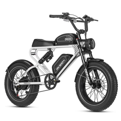 MEELOD dual battery ebike DK300PRO
