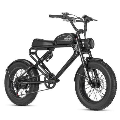 Meelod DK300PLUS Retro Fat Tire Ebike