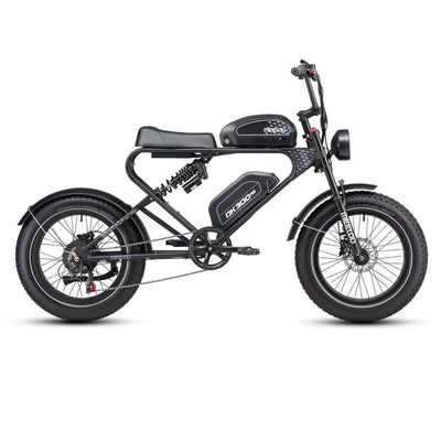 MEELOD fat tire ebike DK300PRO
