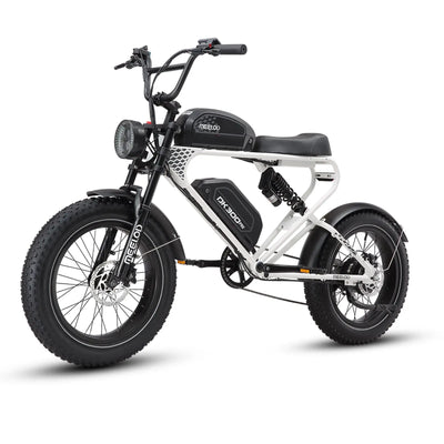 MEELOD long range ebike DK300PRO