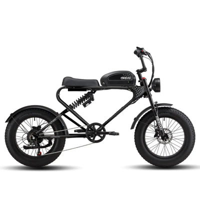 MEELOD moped style ebike Black DK300PLUS