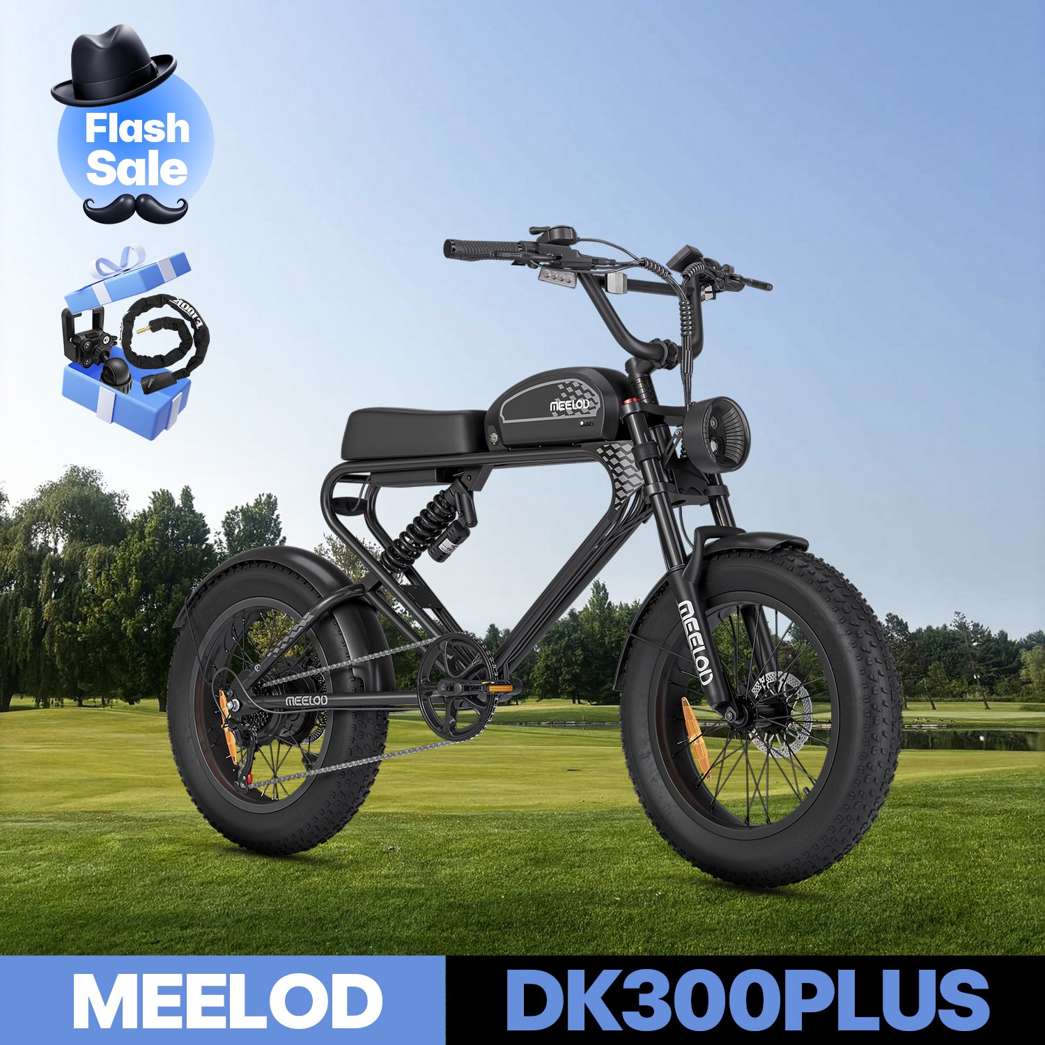DK300PLUS