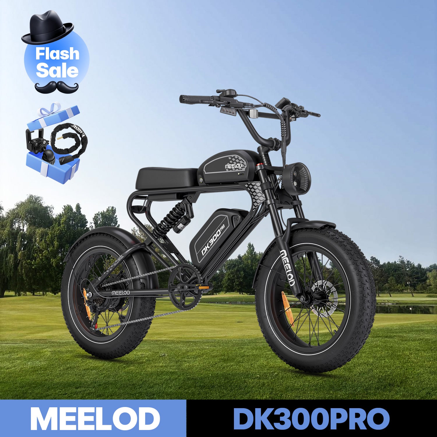 DK300PRO