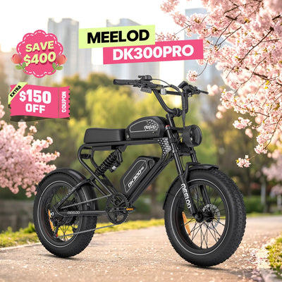 DK300PRO