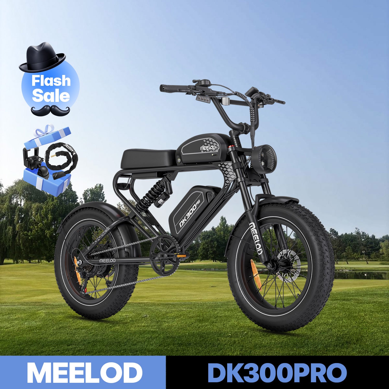 DK300PRO